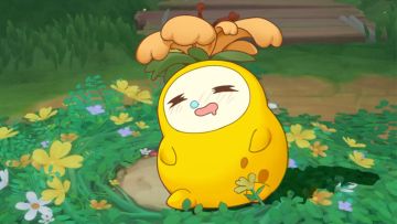 一身班味儿的菊花梨，终于又活了一天！