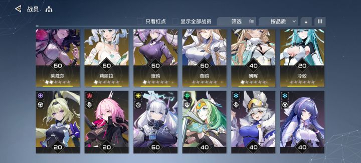 各位大佬,我这队能用吗?截图