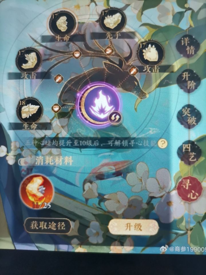 问问寻心是专注一个名士还是平均分配好?截图