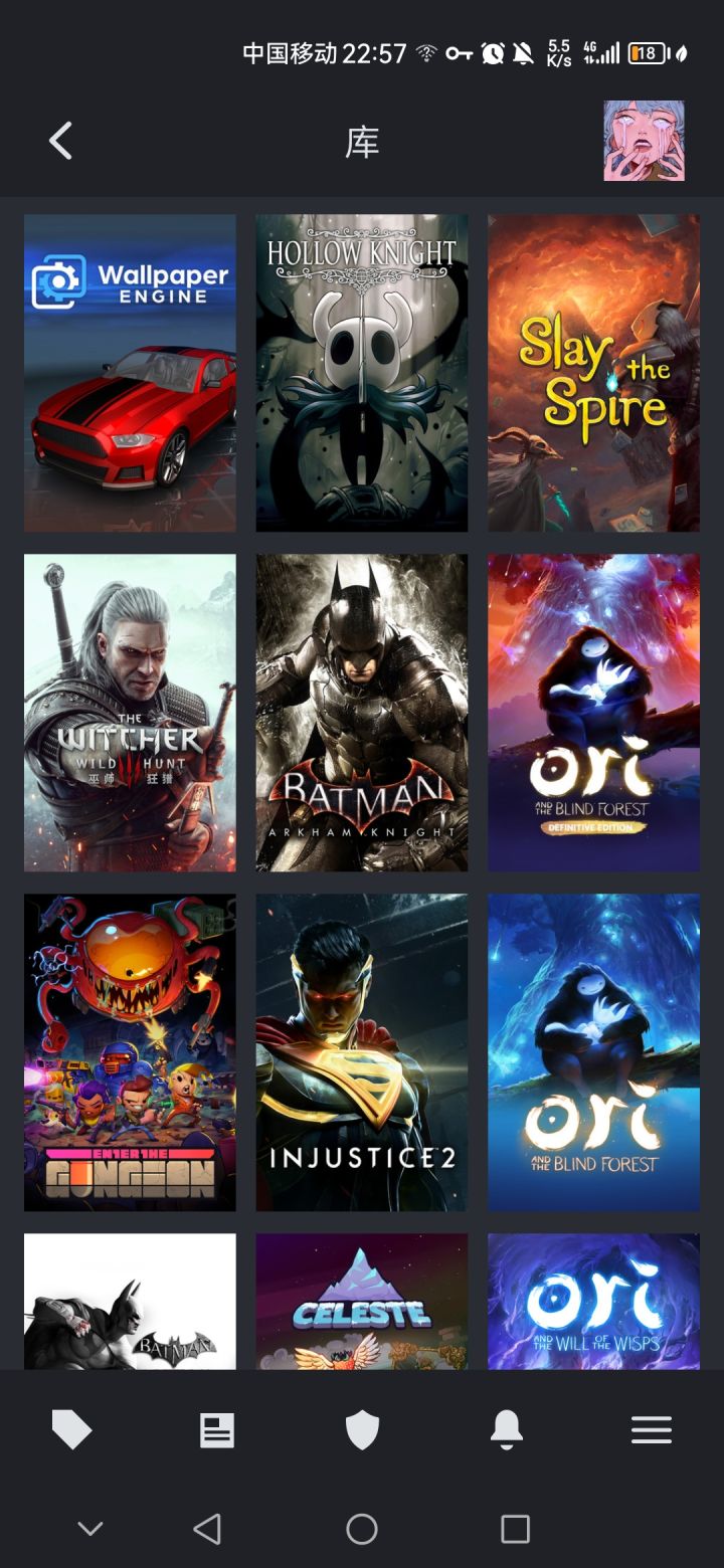 我不值一提的Steam游戏经历截图