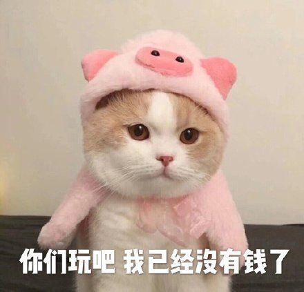 你是怎样花钱钱🪙的呢? 1