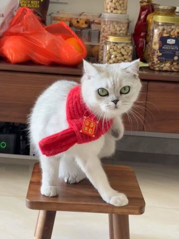 无尽炼狱，轨道调整，打怪技巧，击退