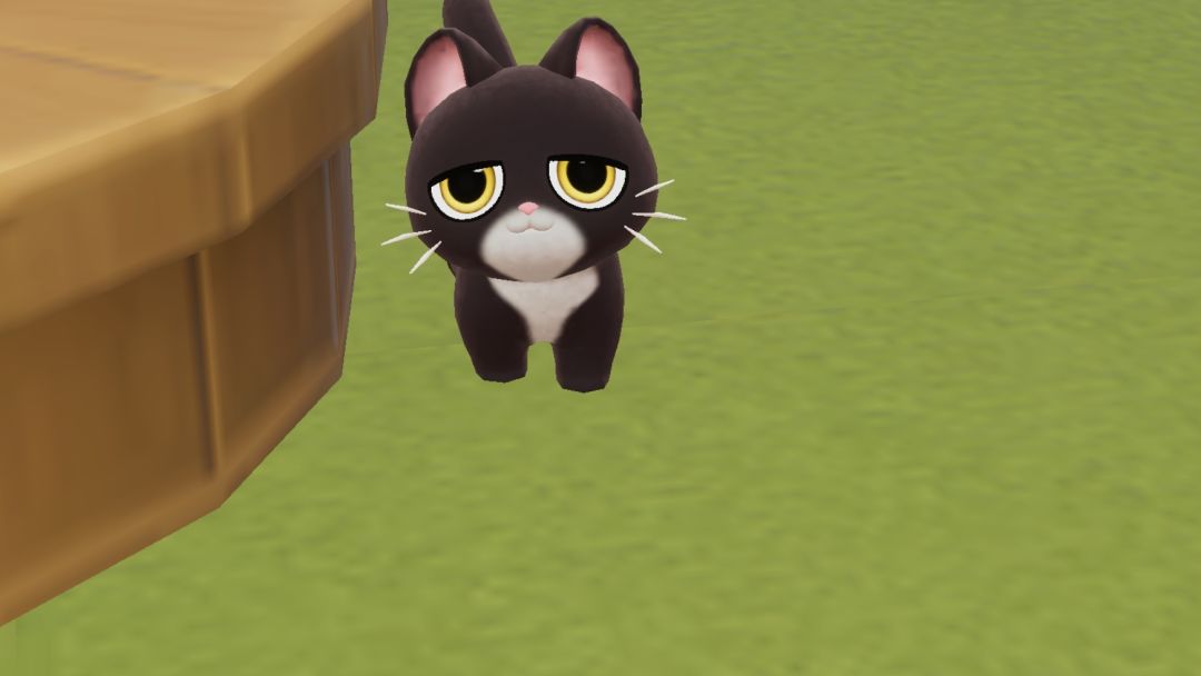 哪儿找猫的品种统计呀 3