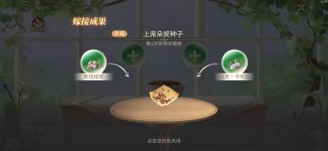 种花 嫁接记录/传说种子搞出来了！