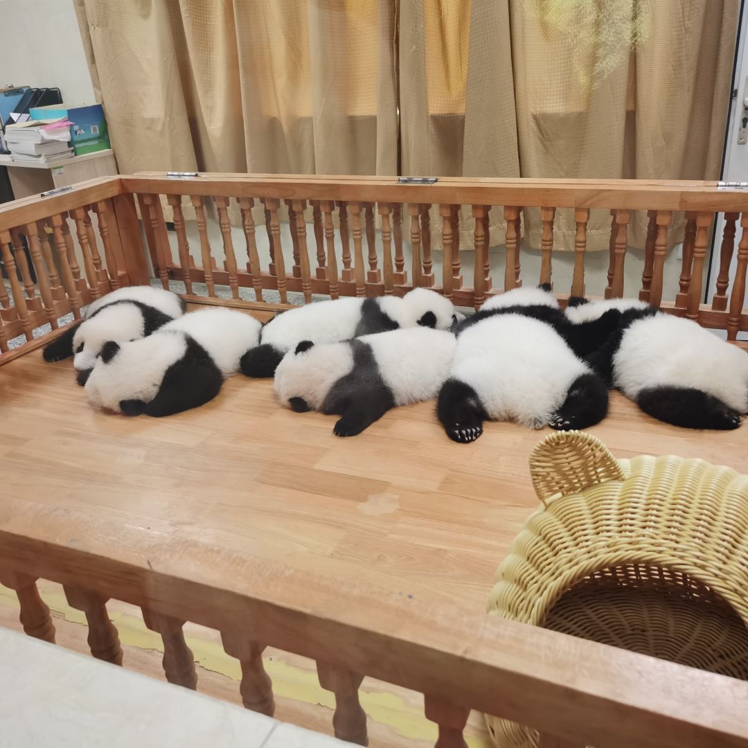 动态图片 3