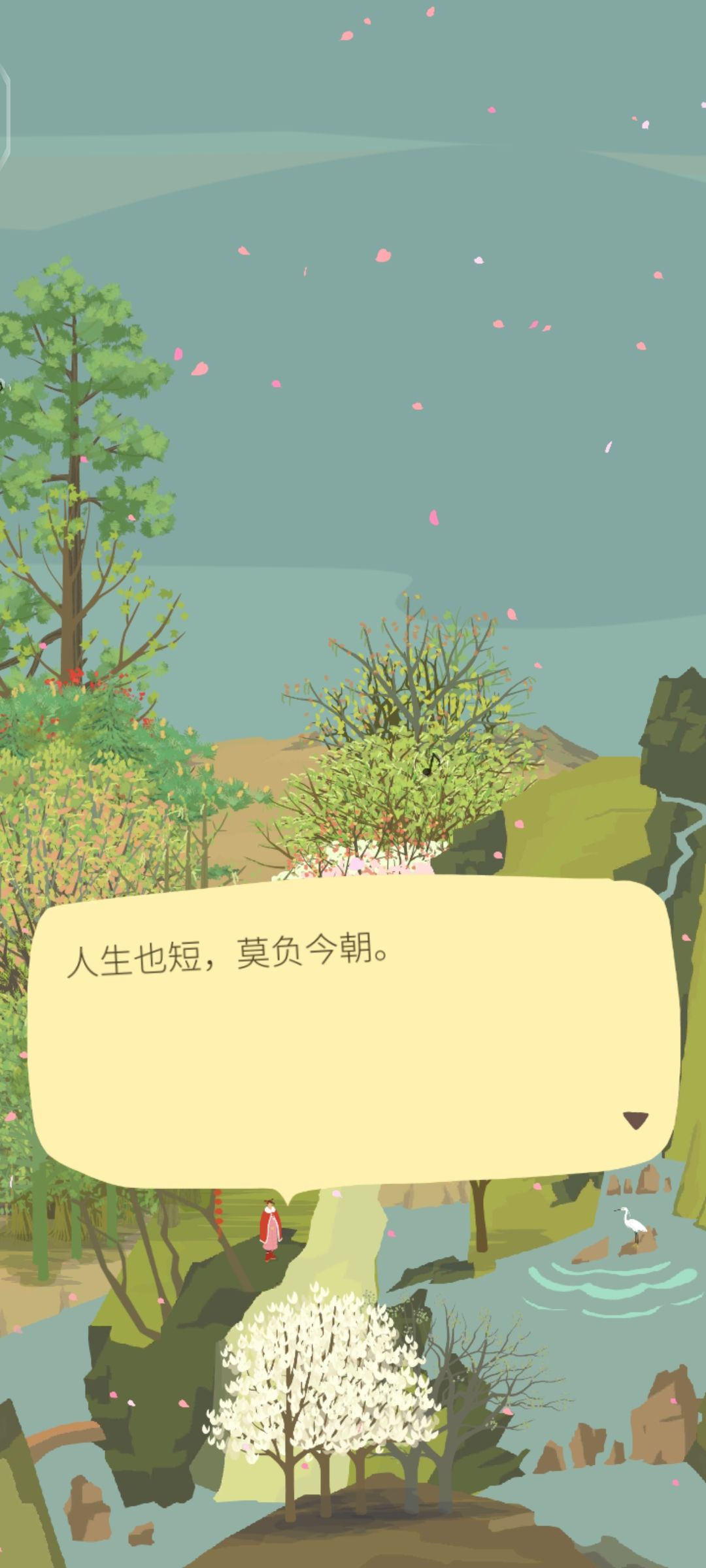 山头第一次有花瓣雨诶!! 3