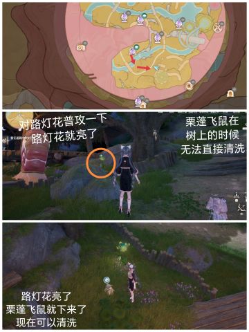 栗蓬飞鼠清洁和栗蓬团绒获取