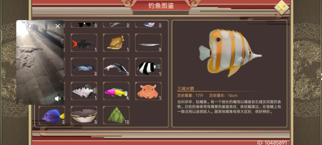 动态图片 3
