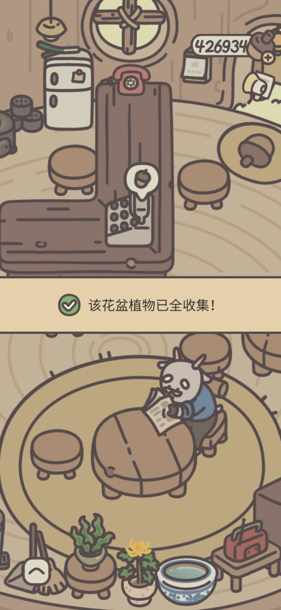 花花终于种完了 1