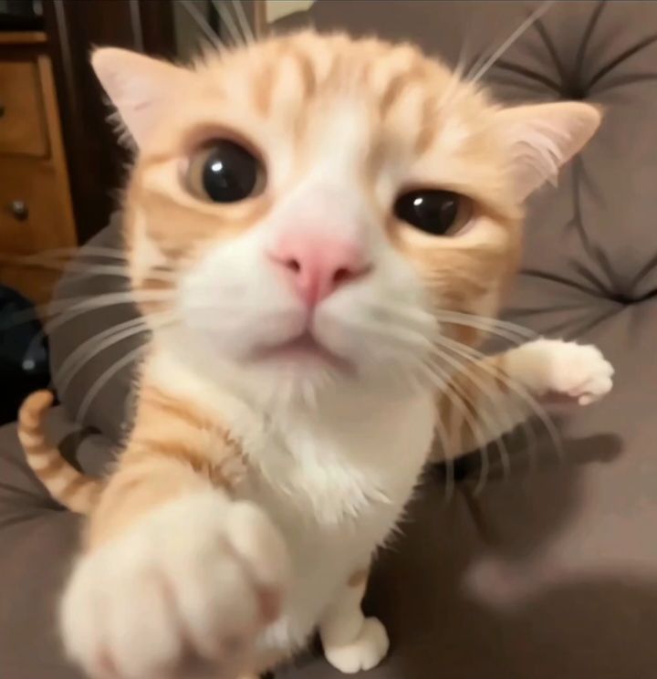 提问!!!! 1