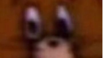 关于隐藏宗门只因宗