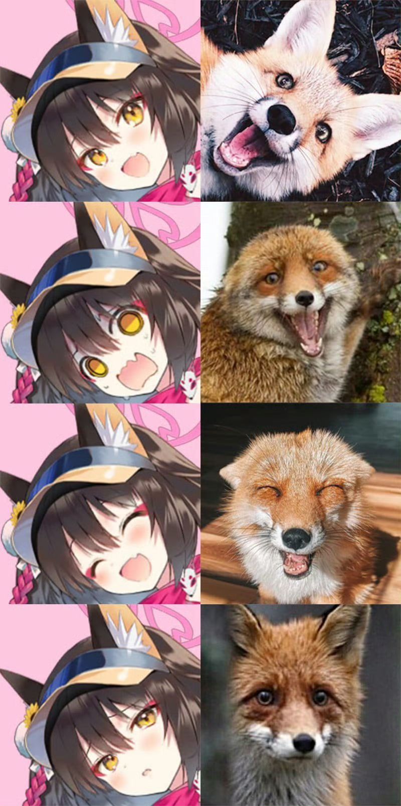 What does the fox say?🦊😛🤪😝 1