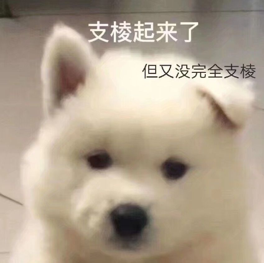 住宅梦物语有人一起玩吗 1