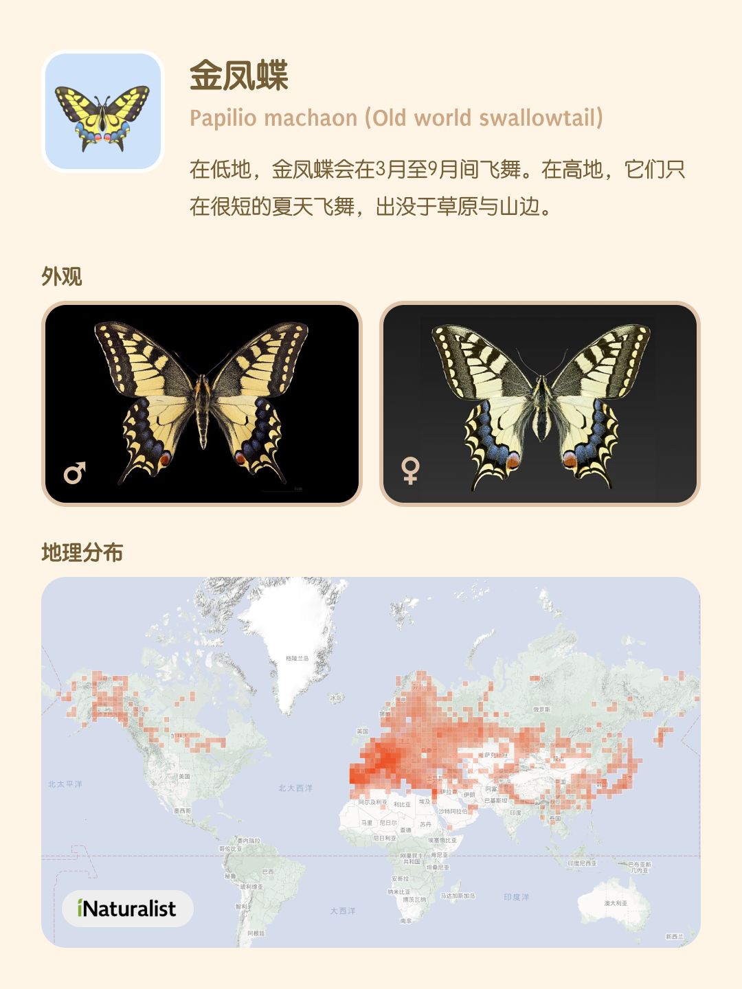 认识心动小镇图鉴中的蝴蝶 (1-3 级) 2