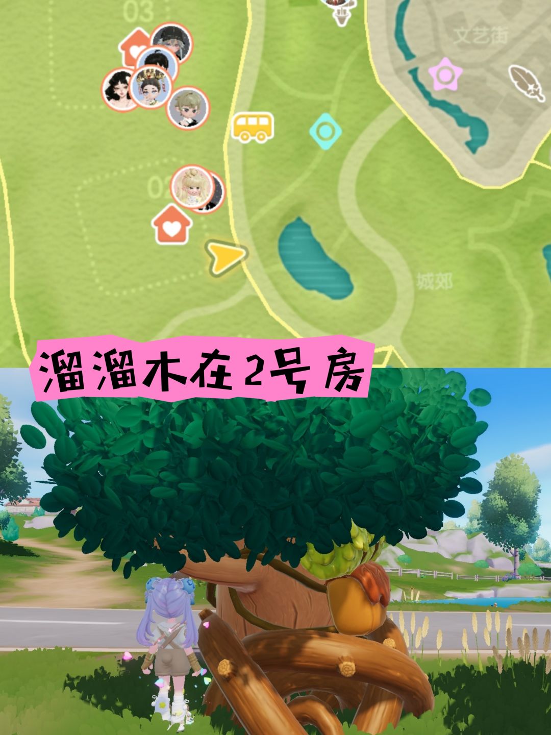 动态图片 3