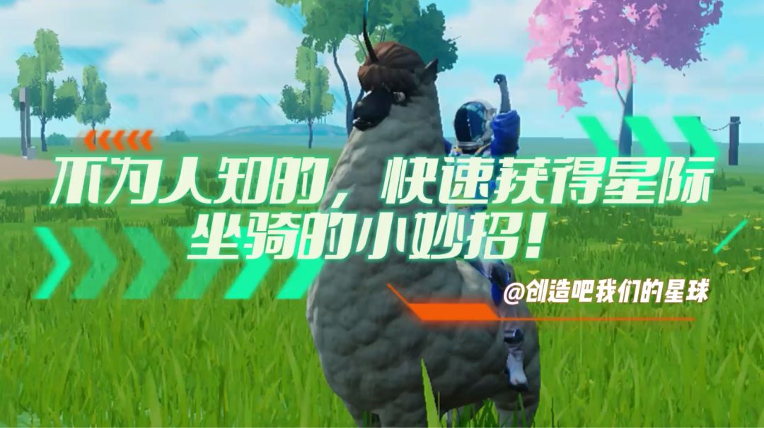 video-3774243