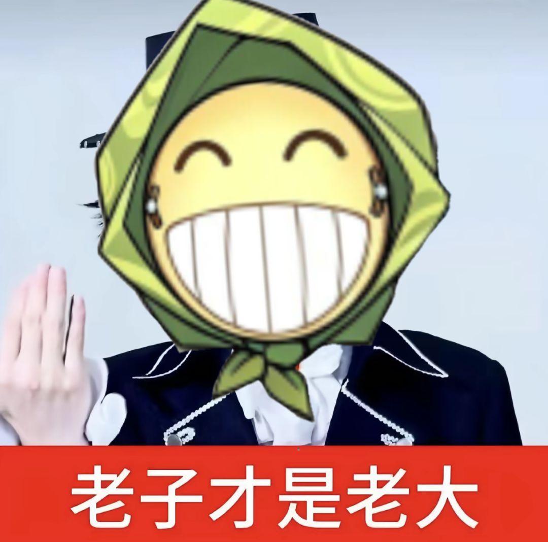 老子才是老大 1