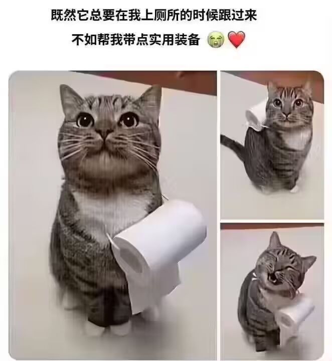 宝藏游戏又又又送皮肤啦截图