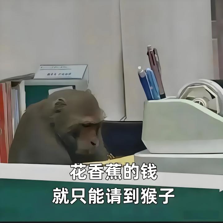 知乎刷到了,过来看看截图