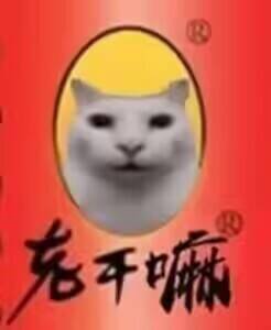 入坑推荐截图