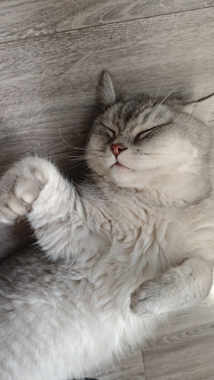 新版本更新啦！截图