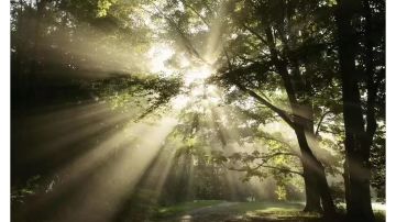 打卡 堡3 小档案