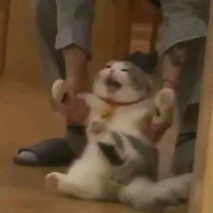 我歪了啊啊啊! 3