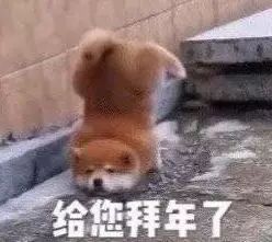 安卓收徒 ٩(๑′0`๑)۶截图