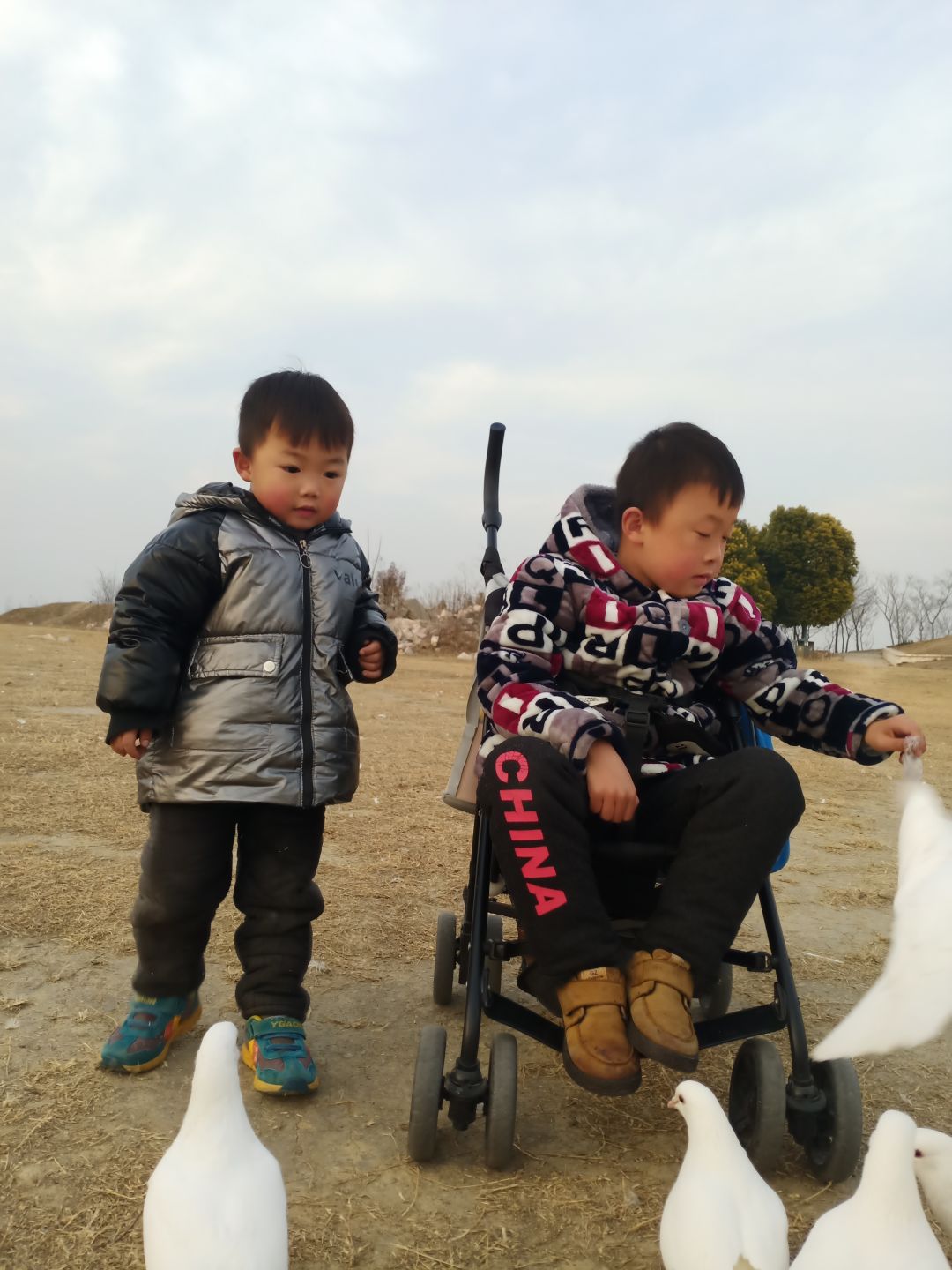 动态图片 3