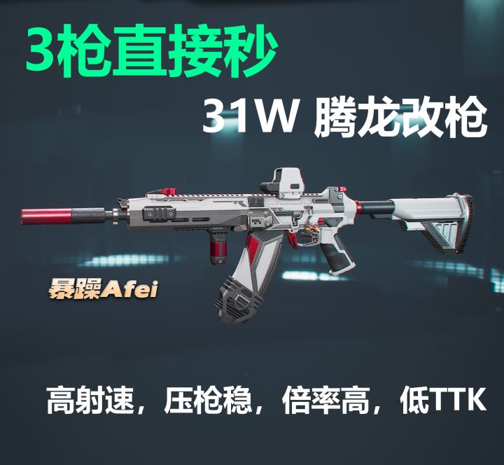 【烽火地带】二十七万双紫半改腾龙突击步枪超高射速截图