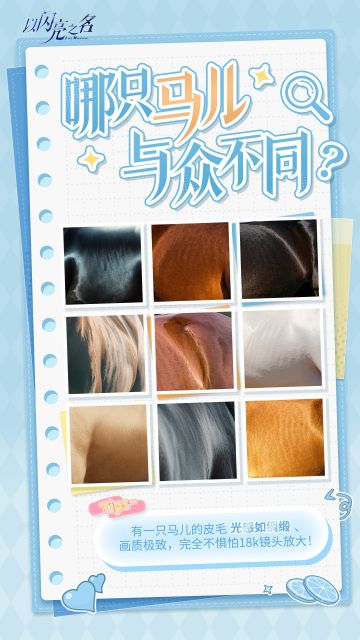 谁才是最火眼金睛的合伙人？👂🏻👂🏻👂🏻