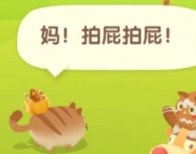 动态图片 5
