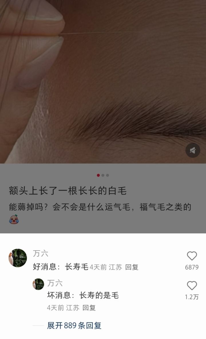 今日份笑料 11