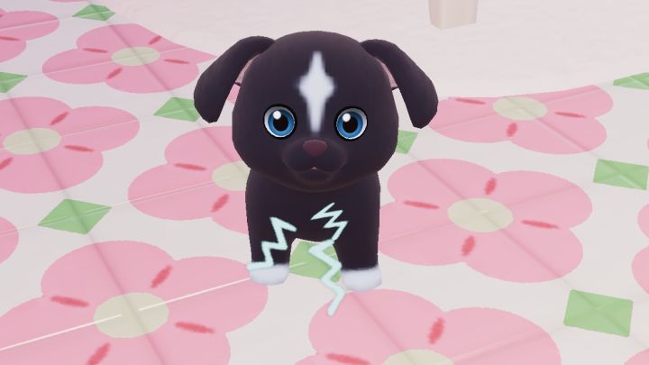 狗狗🐶肚肚打雷啦！截图