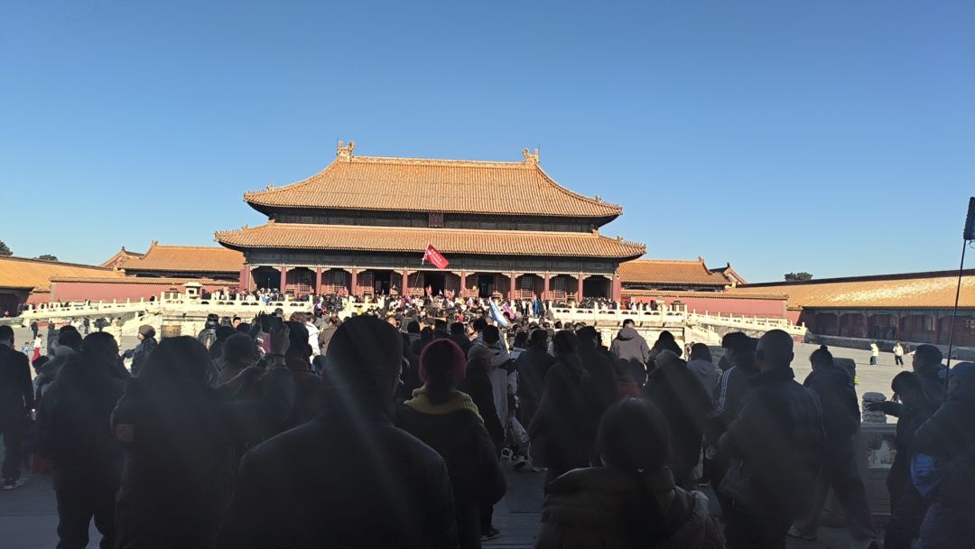 鱼 6