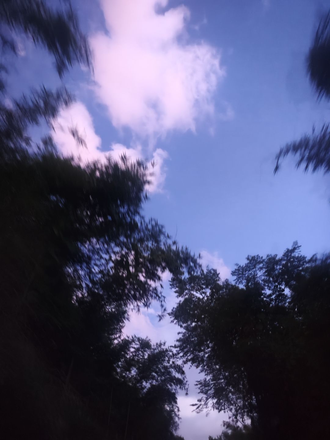 求助 1