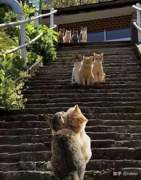 兄弟们,我有点想滚回来了 1
