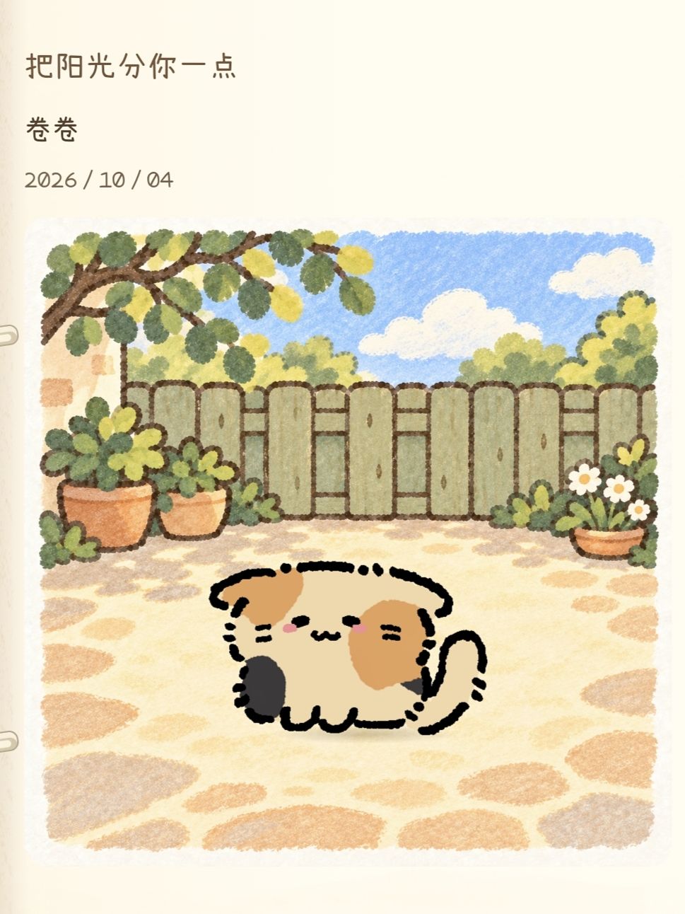 《纸箱猫》｜新养的可爱猫猫！ 4