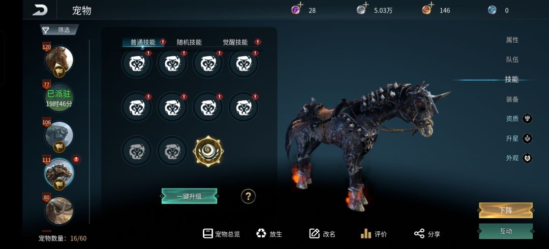 80只,就出这一只 3