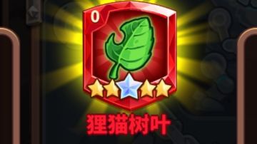 超强6星狸猫树叶！