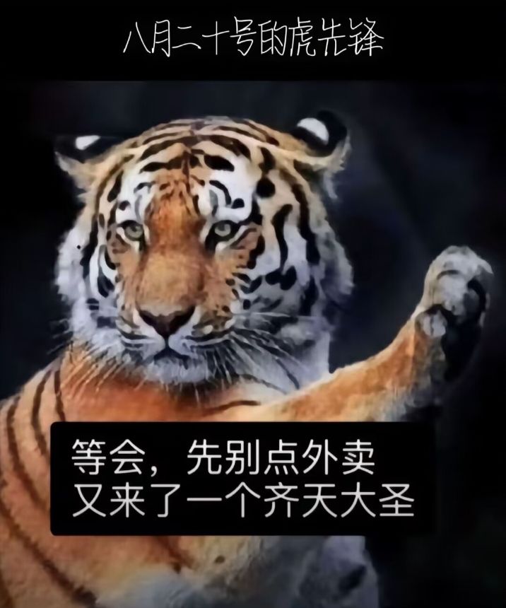 希望寒假能玩上截图