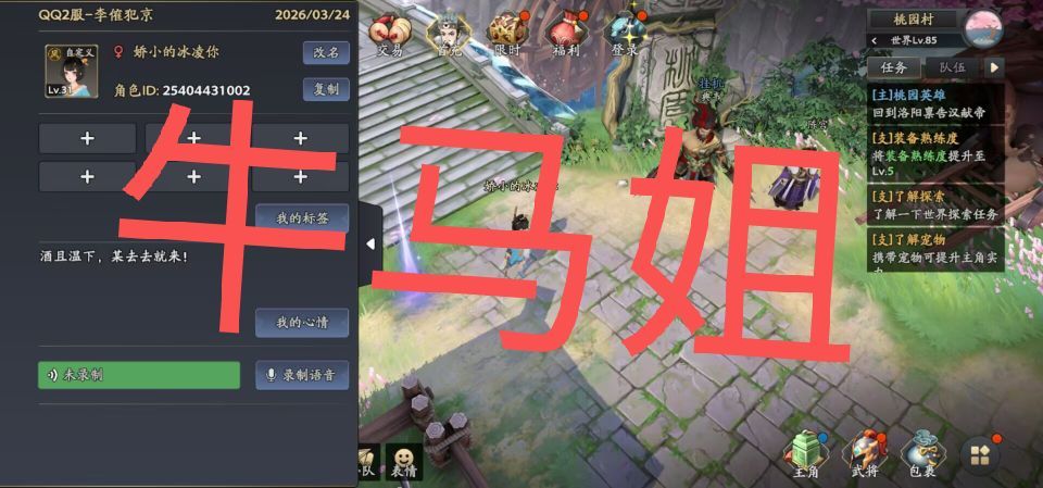 【三国志异闻录首发】3.17我的游戏体验 1