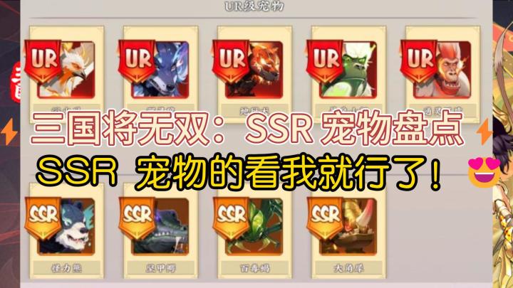 🔮SSR 宠物助力,三国游戏称霸之路🔮截图