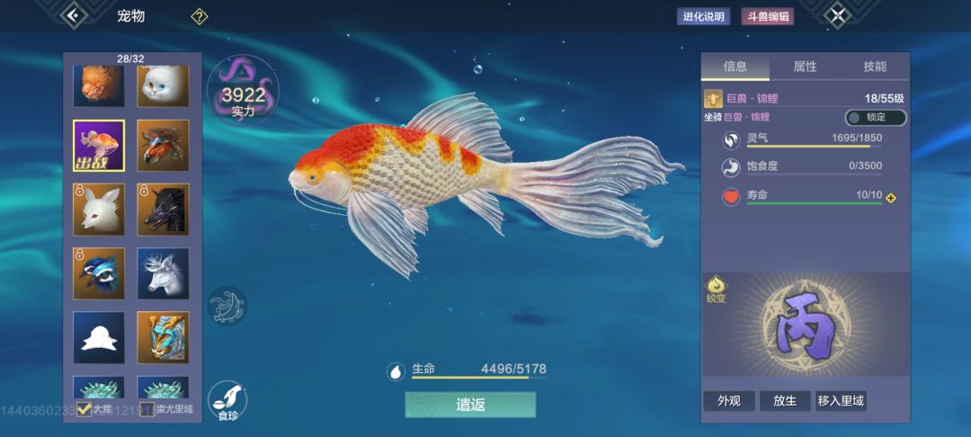 锦鲤 1