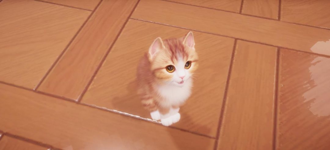 拈酸吃醋的猪咪就是最棒的!!! 2