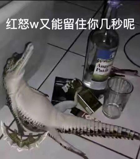 季布承伤盾75减伤是不是太低了,关平都有125减伤啊截图
