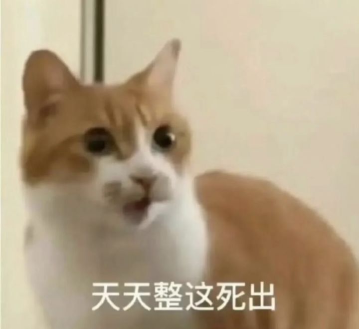 游戏是好游戏,一天闪退800次截图