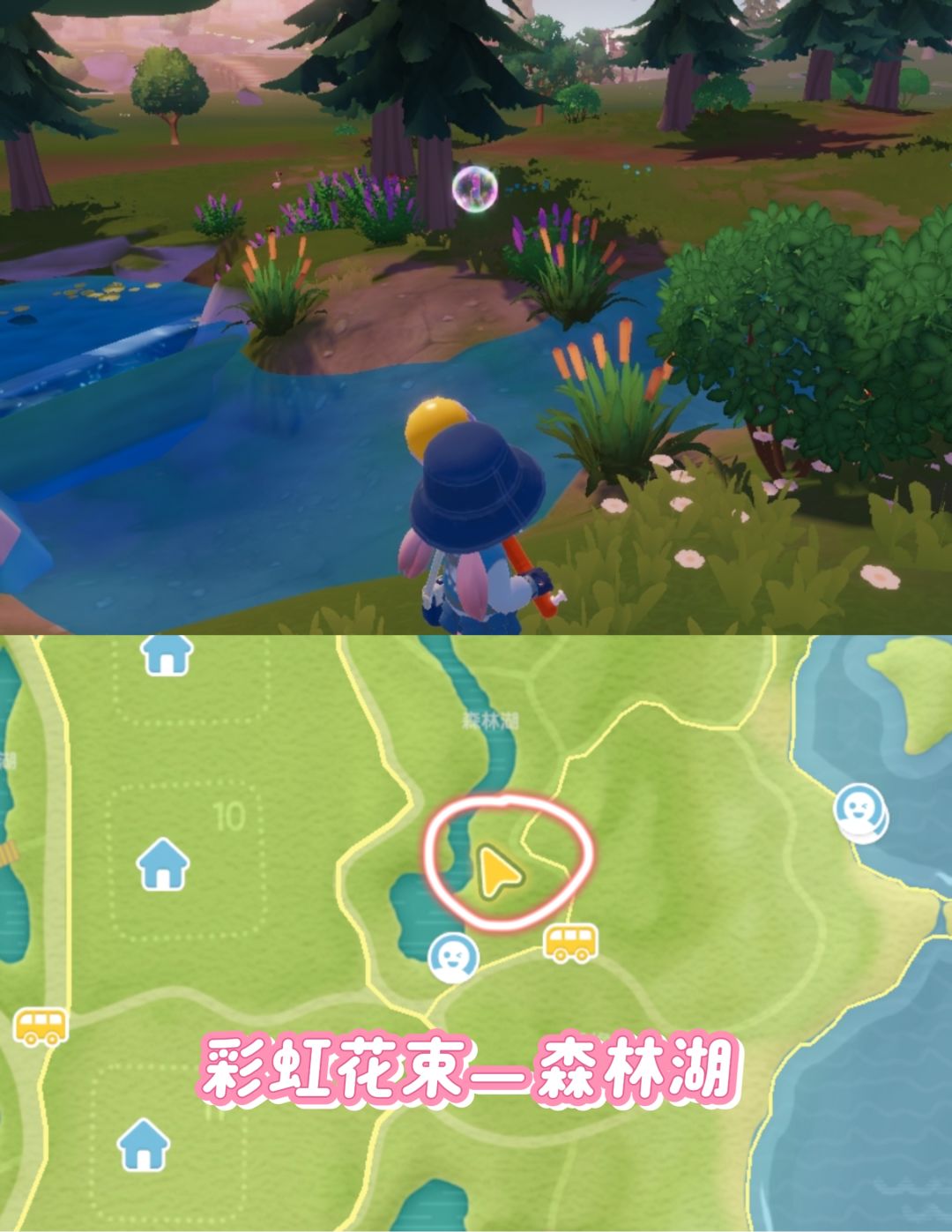 【心动小镇】11.21溜溜树萤石🌈朵朵彩虹花束 2