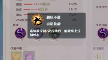 宠物打造攻略（小有所成）