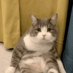二代翅膀怎么这么难用截图